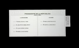 Presidente de la República - Primarias (2013).