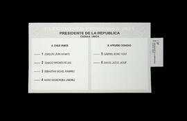Presidente de la República - Primarias (2021).