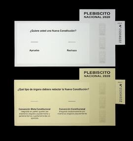 Plebiscito Constitución Política y Tipo de Órgano (2020).